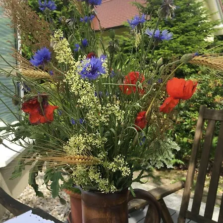 Am Park Hébergement de vacances *