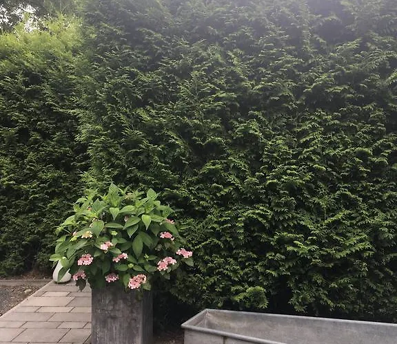 Tatil Evi Am Park Leipzig