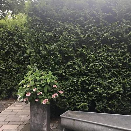 Semesterbostad Am Park Leipzig