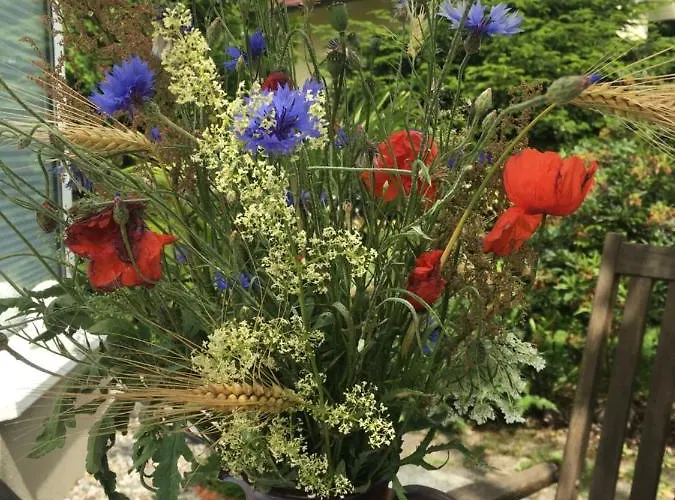 Am Park بيت للعطل *